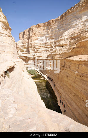 Ein Avdat, sweet water spring in the negev desert, israel near Kibbutz Sde Boker Stock Photo