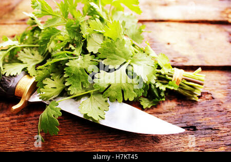Bunch of coriander leaves on a wooden table