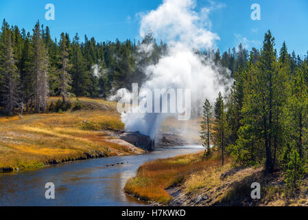 Riverside Geyser erupting next to the Firehole River in the Upper Geyser Basin in Yellowstone National Park Stock Photo