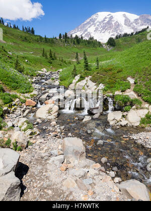 View looking north by Edith Creek with Mt. Rainier in the background. The location is just above Myrtle Falls. Stock Photo