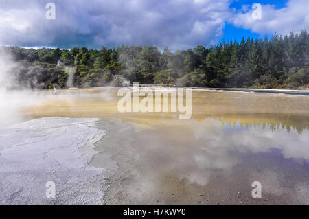 Water pond in the wonderland of the Wai-o-tapu geothermal area, near Rotorua, New Zealand Stock Photo