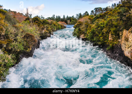 The rushing wild stream of Huka Falls near Lake Taupo, New Zealand Stock Photo