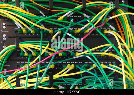A profusion of ethernet cables connecting to a server Stock Photo