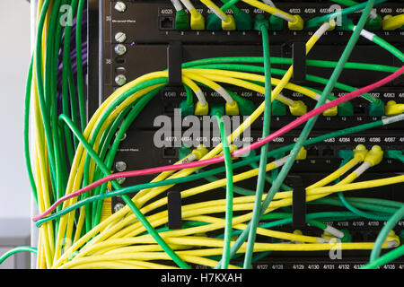 Ethernet cables plugged into a computer server Stock Photo