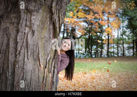 Hidden in a Tree Stock Photo