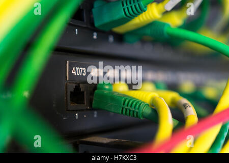 Ethernet cables plugged into an office computer server - UK. Concept: cloud storage, data centre, datacenter, networking, IT infrastructure Stock Photo
