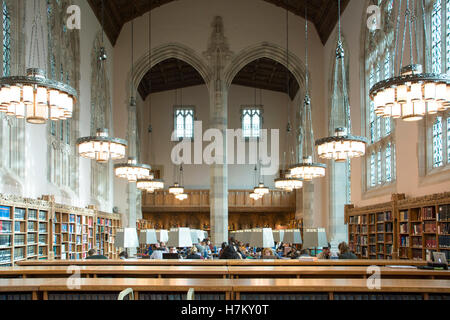 Yale University Library Stock Photo