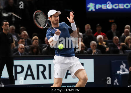 Paris, France. 6th November, 2016. BNP PARIBAS MASTERS (final)  FEDERATION FRANCAISE DE TENNIS - Andy Murray (GBR) in action vs John Isner (USA) - Credit:  Yan Lerval/Alamy Live News Stock Photo