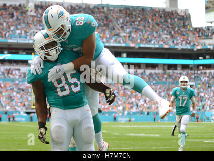 Miami Dolphins tight end Dominique Jones (85) on the field before