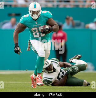 Miami Dolphins tight end Julian Hill (89) catches a pass during