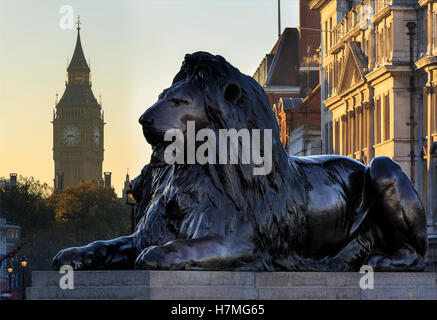 Keeping watch Stock Photo