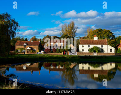 The village pond in Nun Monkton, North Yorkshire, England UK Stock Photo