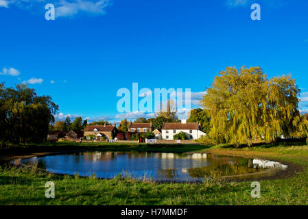 The village pond in Nun Monkton, North Yorkshire, England UK Stock Photo