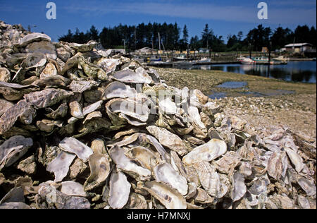Oyster processing plant with oyster shells piles up along harbor Oysterville Southwest Washington State USA