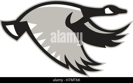 Illustration of a canada goose flying viewed from the side set on isolated white background done in retro style. Stock Vector
