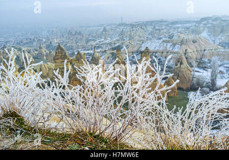 The fluffy patterns of the white frost on plants and the cone peaked rocks of the Pigeon Vally behind them, Cappadocia, Turkey. Stock Photo