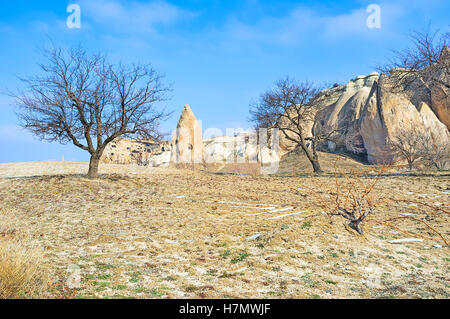 The sleeping trees among the winter landscape of Cappadocia, Turkey. Stock Photo