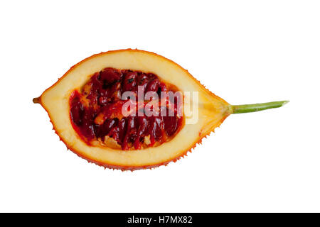 Baby Jackfruit isolated sliced in half (Or Cochinchin Gourd, Spiny Bitter Gourd, Sweet Gourd, Momordica cochinchinensis) on whit Stock Photo