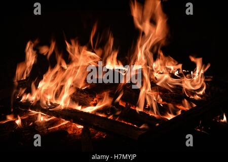 Big hot flame of fire in darkness Stock Photo
