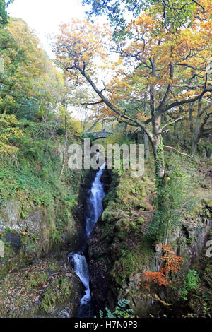 Autumn at Aira Force falls in Cumbria England UK Stock Photo