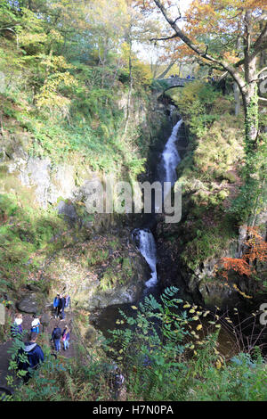 Autumn at Aira Force falls in Cumbria England UK Stock Photo