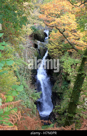 Autumn at Aira Force falls in Cumbria England UK Stock Photo