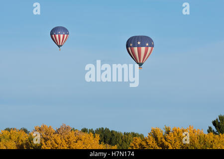 Hot Air balloons over autumn Cottonwood Trees.  Los Poblanos open SPace, Albuquerque, New Mexico, USA. Stock Photo