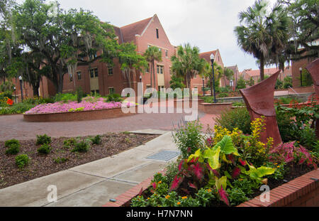 Tallahassee Florida FSU College Brick Campus Dorm Area At Florida State ...