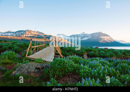 Skalanes, Seydisfjordur Iceland Stock Photo