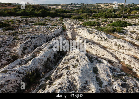 Malta cart-ruts at 'Clapham Junction', near Dingli, hundreds of branching mystery ruts in the stone of Misrah Ghar il-Kbir Stock Photo