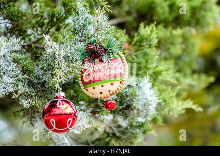 Christmas ornaments on a frosted cedar tree. Stock Photo