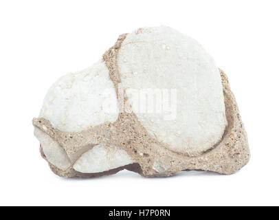 conglomerate rock isolated Stock Photo