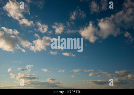 Golden hour sun tinted fluffy white clouds against a blue sky, background image Stock Photo
