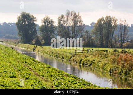 Water channel through field. Taken October, Ham Wall RSPB Nature Reserve, Somerset Levels, Somerset, UK. Stock Photo