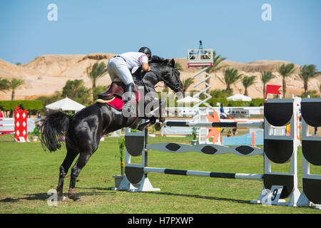 Horse and rider competing in an equestrian showjumping sports competition jumping over hurdle outdoors Stock Photo