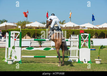 Horse and rider competing in an equestrian showjumping sports competition jumping over hurdle outdoors Stock Photo