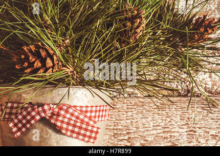 Pine branches with cones in zinc bucket close-up, instagram effect. Stock Photo