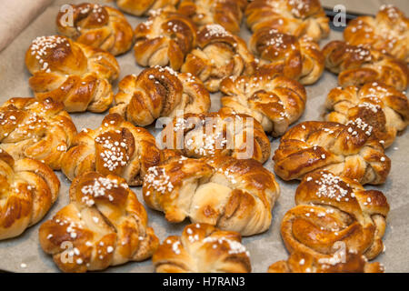 CINNAMON BUNS on baking sheet Stock Photo