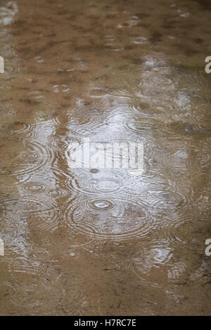 Concentric rings of ripples on a puddle Stock Photo - Alamy