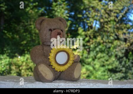 Teddy bear sits on a white wall against green nature background and keeps sunflower frame in hand Stock Photo