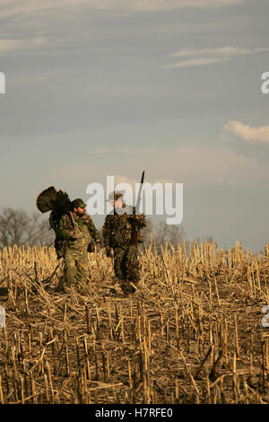 Turkey Hunters In Field Stock Photo