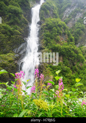 Detail Of Water Cascading Through Dark Green Vegetation On Horsetail Falls In Keystone Canyon, Fireweed (Chamerion Angustifolium) Growing In The Fo... Stock Photo