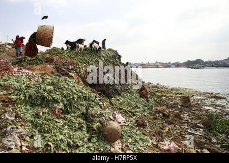 Dhaka, Bangladesh. 7th Nov, 2016. Waste from Shyambazar vegetables and fruits market on the bank of Buriganga River is one of the many contributors to the rising level of pollution in the water, Dhaka, Bangladesh, November 7, 2016. Once the lifeline of the capital, the Buriganga River has now become the most polluted river in the country because of rampant dumping of waste. Credit:  Suvra Kanti Das/ZUMA Wire/Alamy Live News Stock Photo