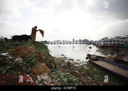 Dhaka, Bangladesh. 7th Nov, 2016. Waste from Shyambazar vegetables and fruits market on the bank of Buriganga River is one of the many contributors to the rising level of pollution in the water, Dhaka, Bangladesh, November 7, 2016. Once the lifeline of the capital, the Buriganga River has now become the most polluted river in the country because of rampant dumping of waste. Credit:  Suvra Kanti Das/ZUMA Wire/Alamy Live News Stock Photo