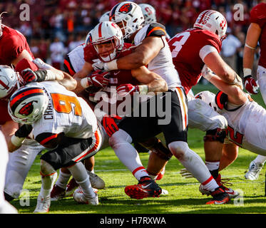 Palo Alto, California, USA. 5th Nov, 2016. Stanford Running Back Christian McCaffrey (5) fights for yardage in NCAA football action at Stanford University, featuring the Oregon State Beavers visiting the Stanford Cardinal. Stanford won the game 26-15 © Seth Riskin/ZUMA Wire/Alamy Live News Stock Photo