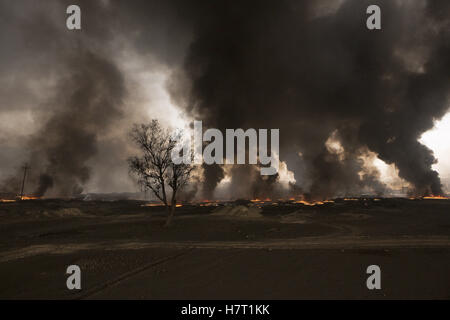 Qayyarah, Niniveh, Iraq. 8th Nov, 2016. 08/11/2016. Qayyarah, Iraq. Flames and smoke rise from a burning oil facility in the town of Qayyarah, Iraq. Oil wells in and around the town of Qayyarah, Iraq, we set alight in July 2016 by Islamic State extremists as the Iraqi military began an offensive to liberated the town.For two months the residents of the town have lived under an almost constant smoke cloud, the only respite coming when the wind changes. Credit:  ZUMA Press, Inc./Alamy Live News Stock Photo