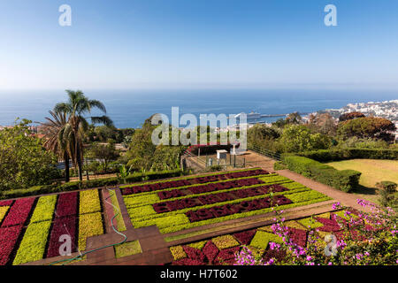 Botanical garden, Jardim Botanico, in Madeira, Portugal Stock Photo