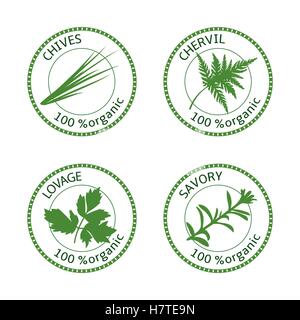 Set of herbs labels. 100 organic. Vector Stock Vector