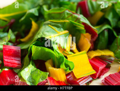 sunlight shining down on a salad of chopped red and yellow swiss chard, shot with a selective focus. Stock Photo