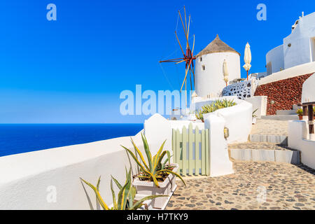 Typical white windmill on street of Oia village, Santorini island, Greece Stock Photo